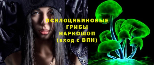 СК Елизово
