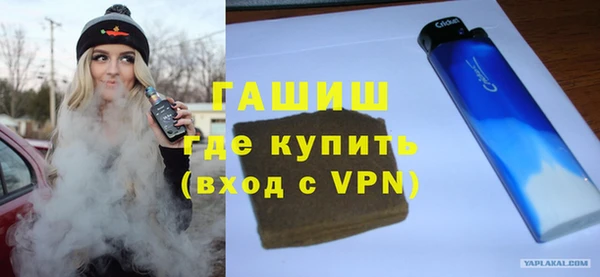 мдпв Ельня