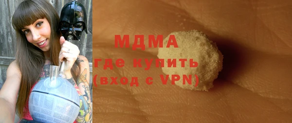 мдпв Ельня