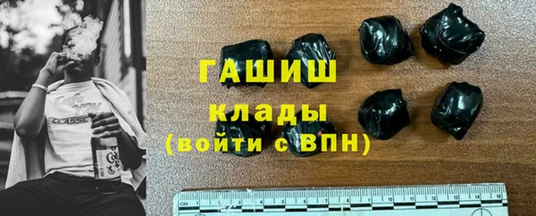 мдпв Ельня