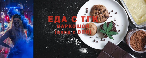 мдпв Ельня