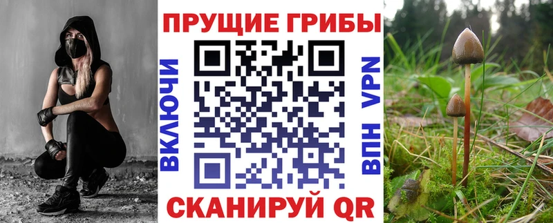 Галлюциногенные грибы Magic Shrooms  Купить где  Кропоткин 